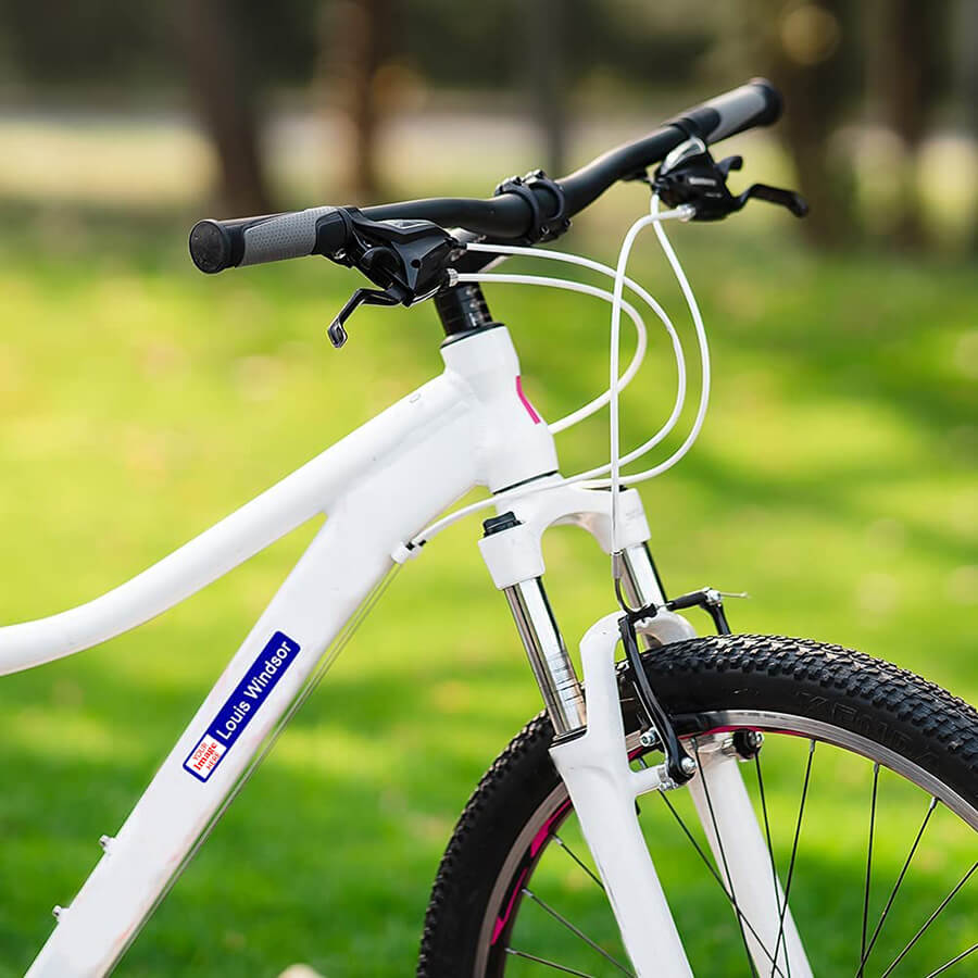 Bike Name Sticker With Image